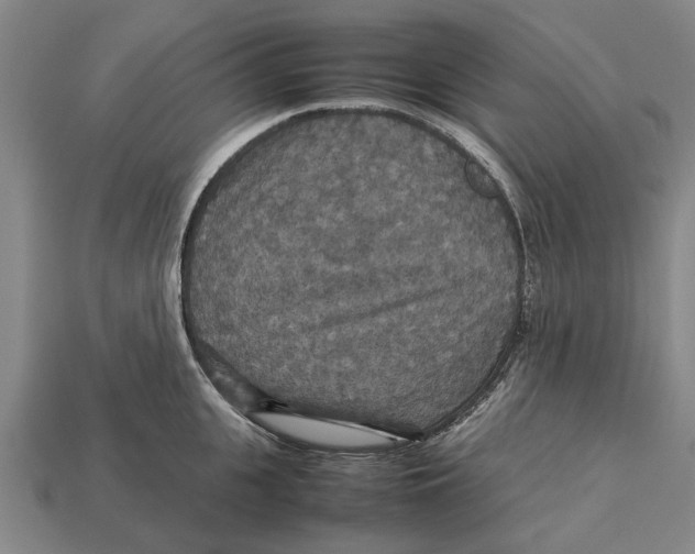 X0000113070951200909250926