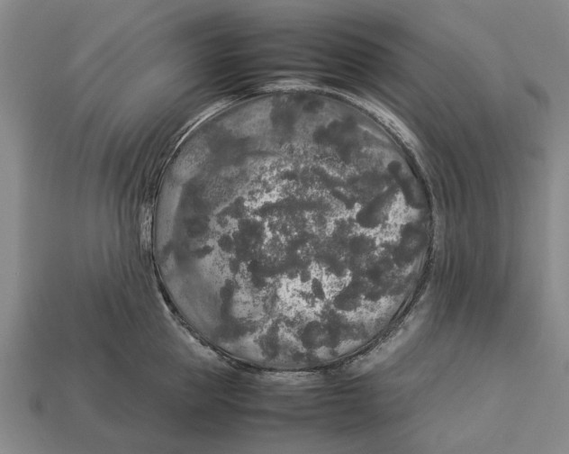 X0000113070953200909250926