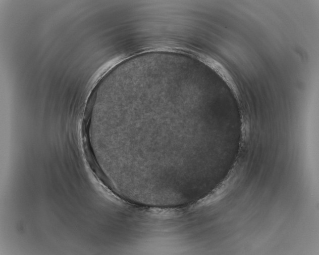 X0000113070954200909250926