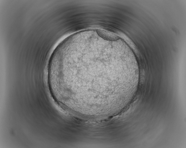 X0000113070955200909250926
