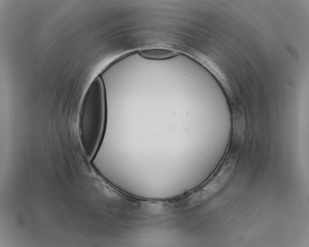 X0000113070956200909250926