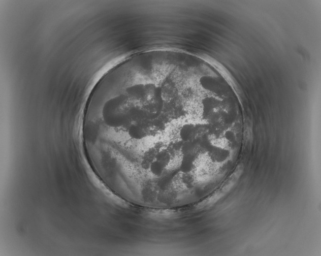 X0000113070957200909250926