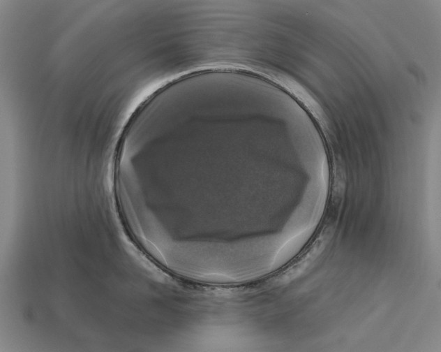 X0000113070958200909250926