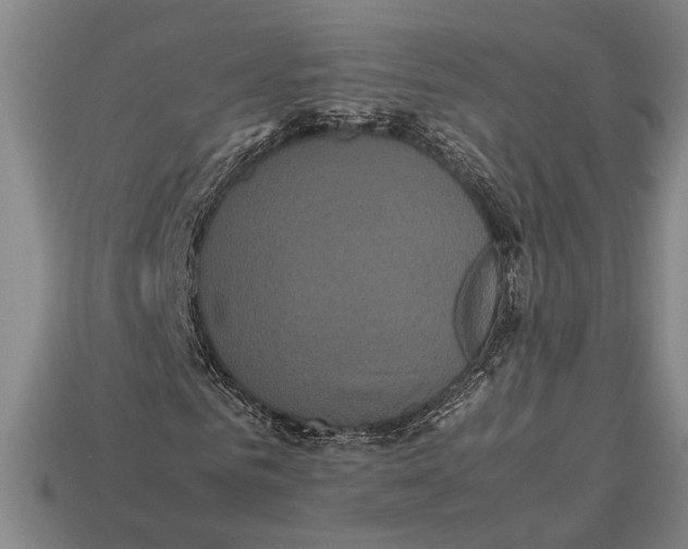 X0000113070961200909250926
