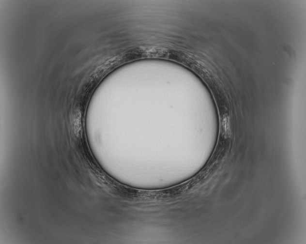 X0000113070963200909250926