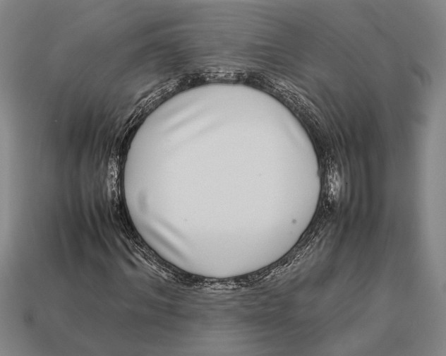 X0000113070964200909250926