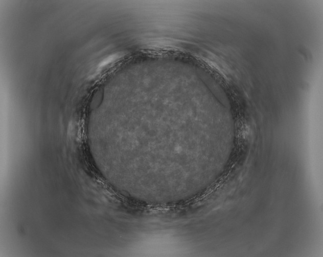 X0000113070965200909250926