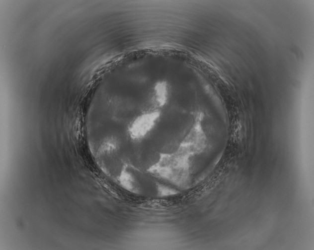 X0000113070966200909250926
