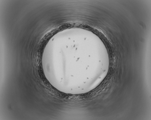 X0000113070967200909250926