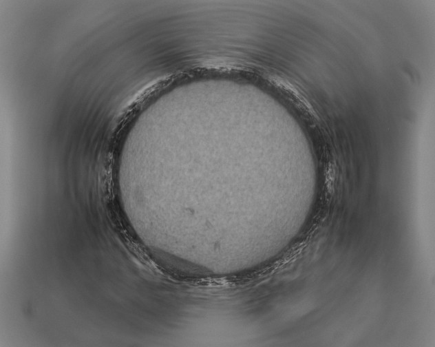 X0000113070968200909250926