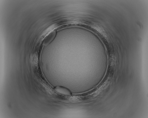 X0000113070969200909250926