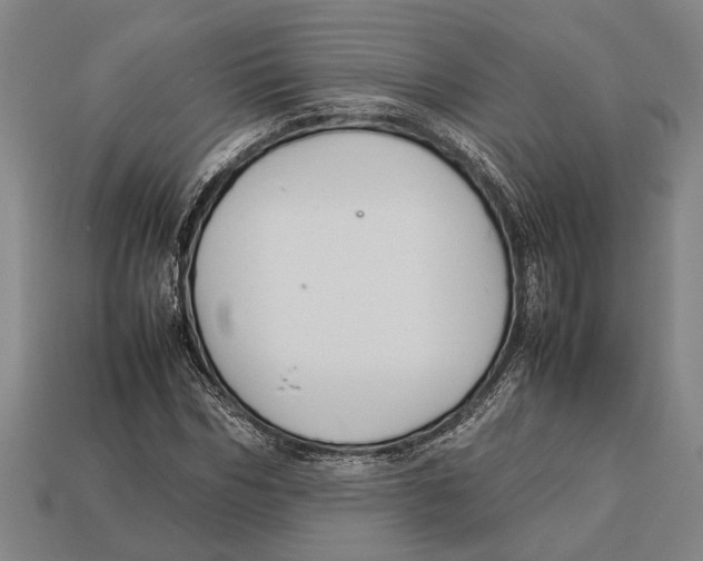 X0000113070970200909250926