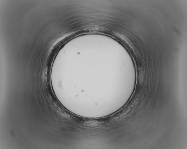 X0000113070971200909250926