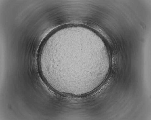 X0000113070972200909250926