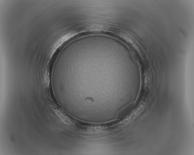 X0000113070973200909250926