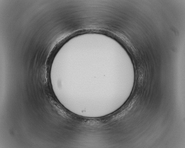 X0000113070974200909250926