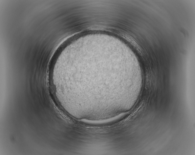 X0000113070976200909250925