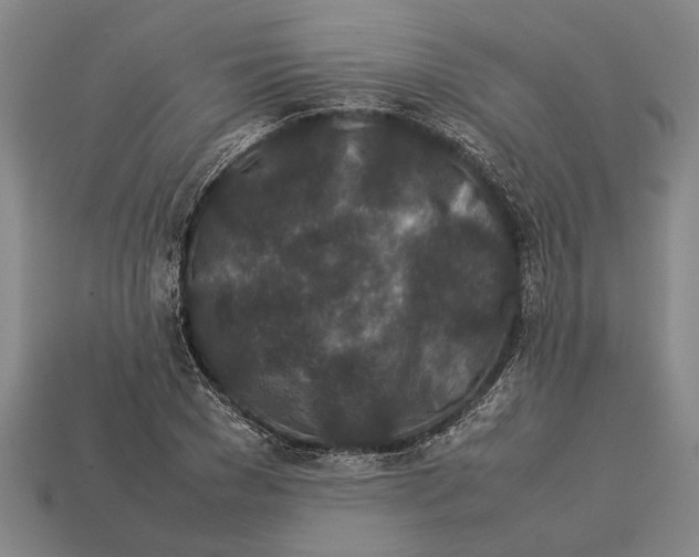 X0000113070977200909250925