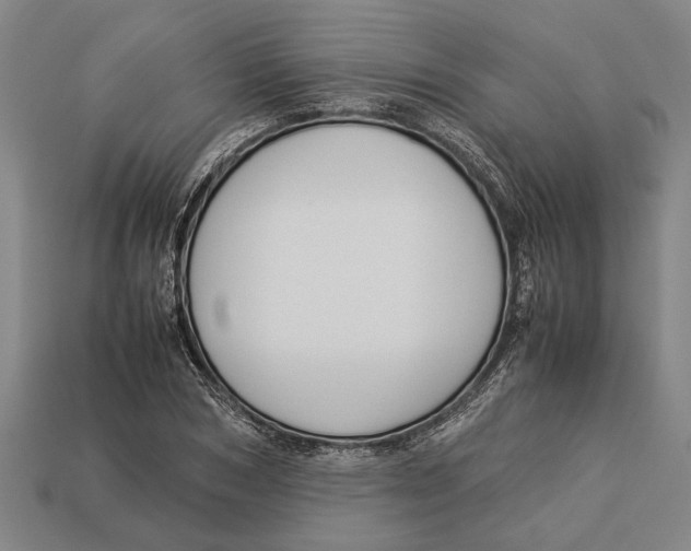 X0000113070978200909250925