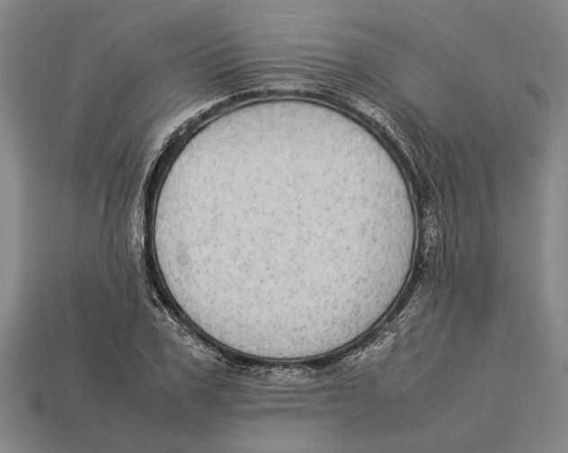 X0000113070979200909250925