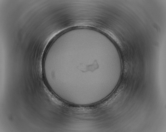 X0000113070980200909250925