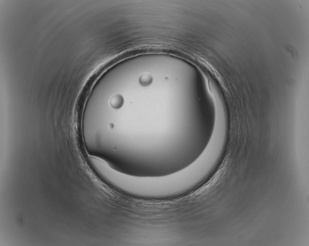 X0000113070981200909250925