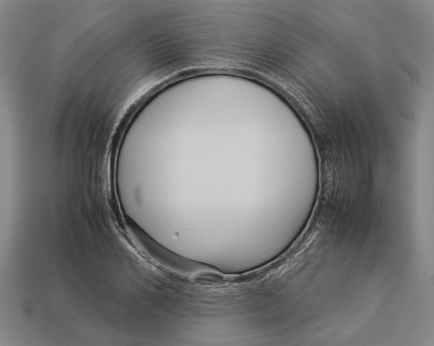 X0000113070982200909250925