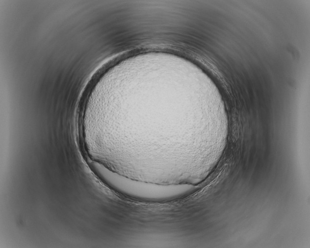 X0000113070984200909250925