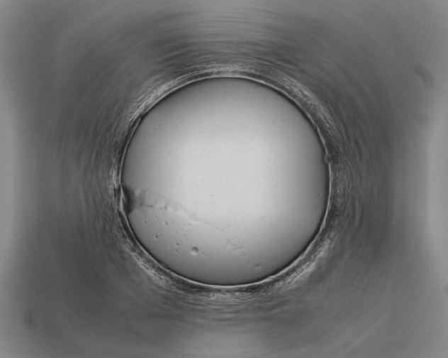 X0000113070985200909250925