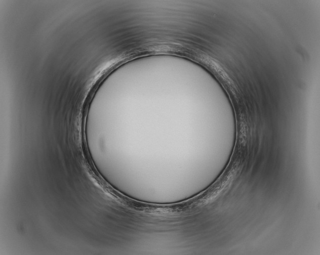 X0000113070986200909250925