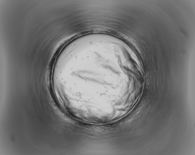 X0000113070987200909250925