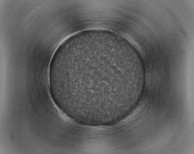 X0000113070988200909250925