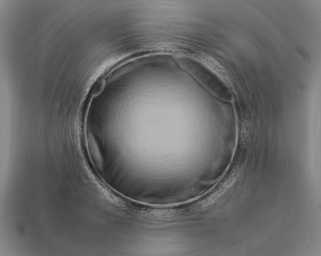 X0000113070989200909250925