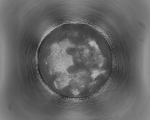 X0000113070990200909250925