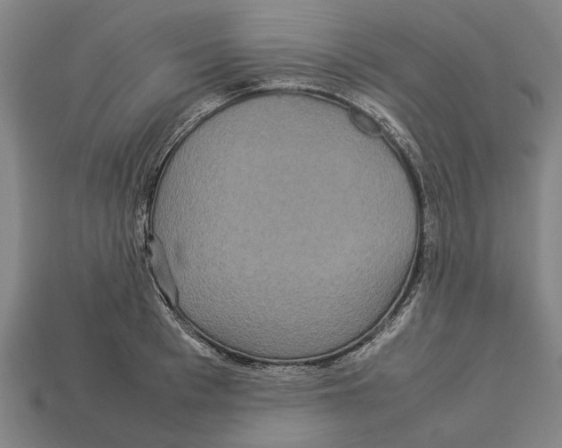 X0000113070993200909250925