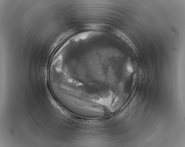X0000113070994200909250925