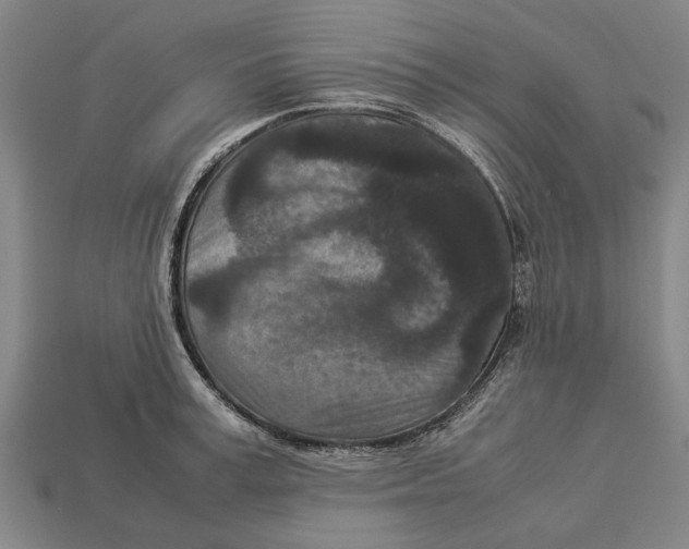 X0000113070995200909250925