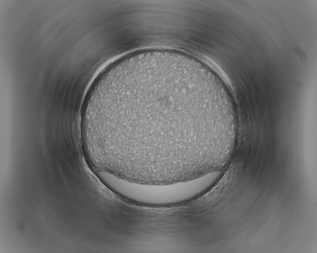 X0000113070996200909250925