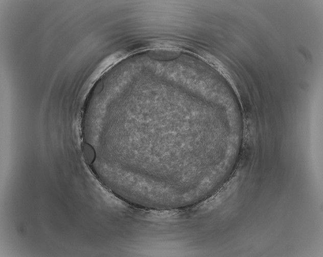 X0000113070997200909250925