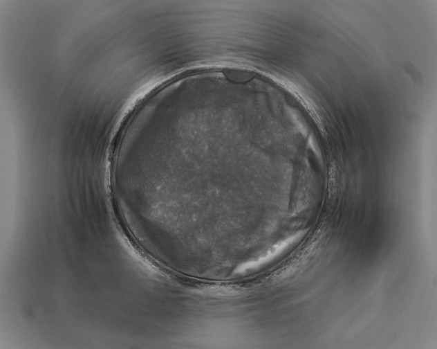 X0000113070998200909250925