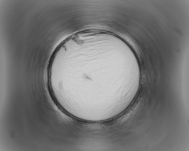 X0000113070999200909250925