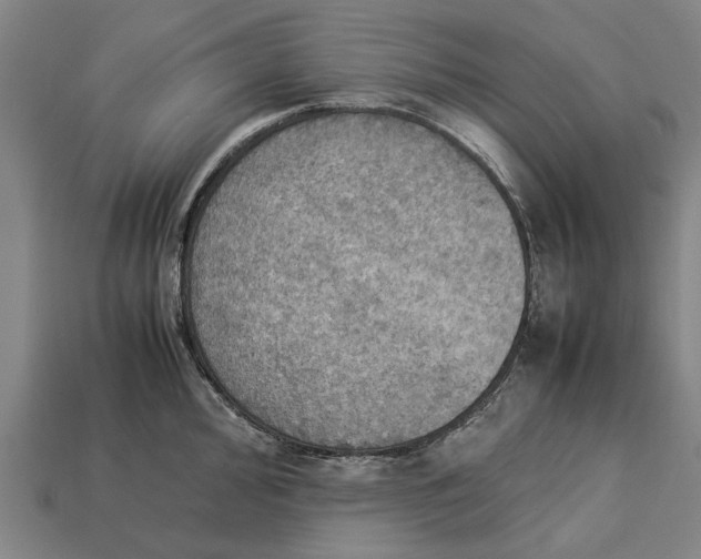 X0000113071000200909250925