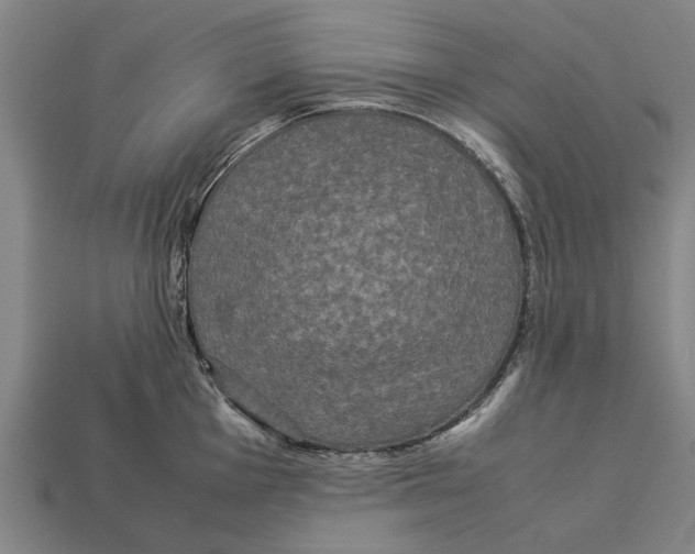 X0000113071001200909250925