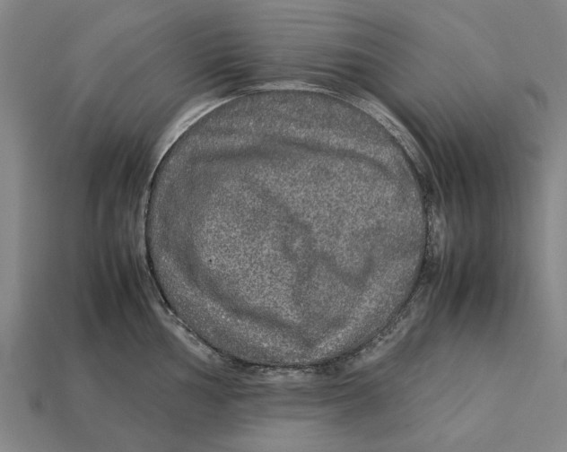 X0000113071002200909250925