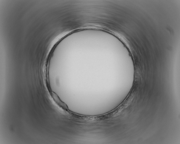 X0000113071003200909250925