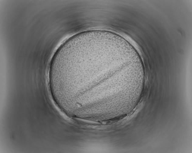 X0000113071005200909250925