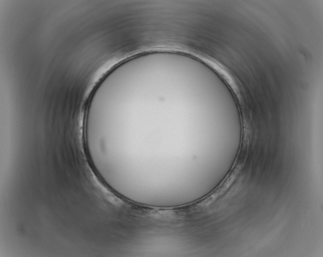 X0000113071006200909250925
