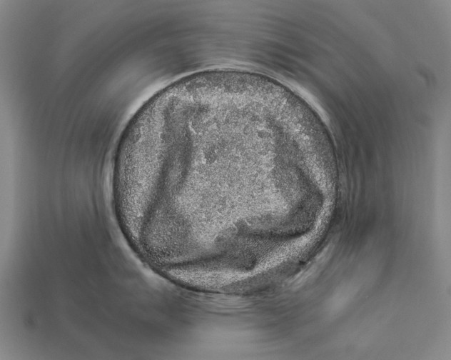 X0000113071007200909250925