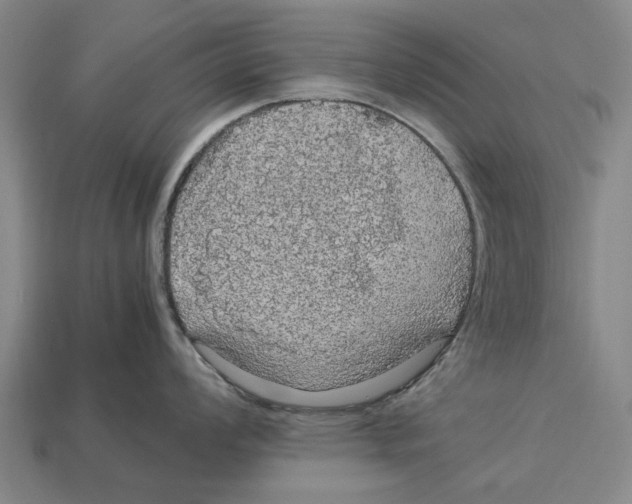 X0000113071008200909250925