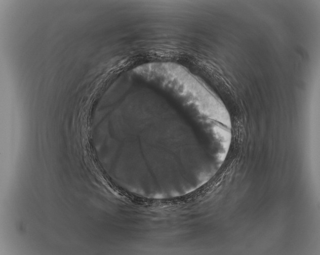 X0000113071009200909250924